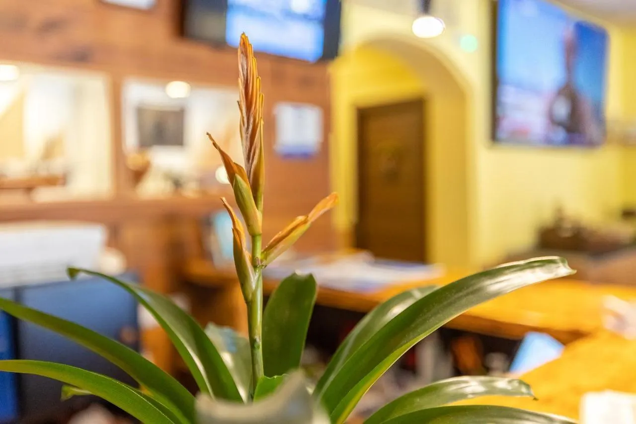 Hostal Doris - Adults Only Colonia de Sant Jordi 2*,  Hiszpania